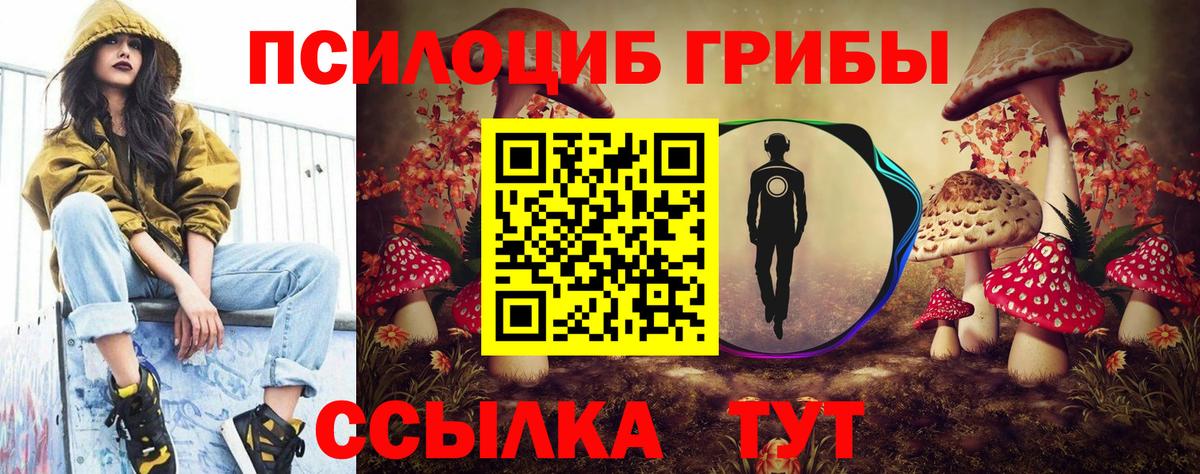 Галлюциногенные грибы Psilocybe  Вход с VPN  Тольятти 