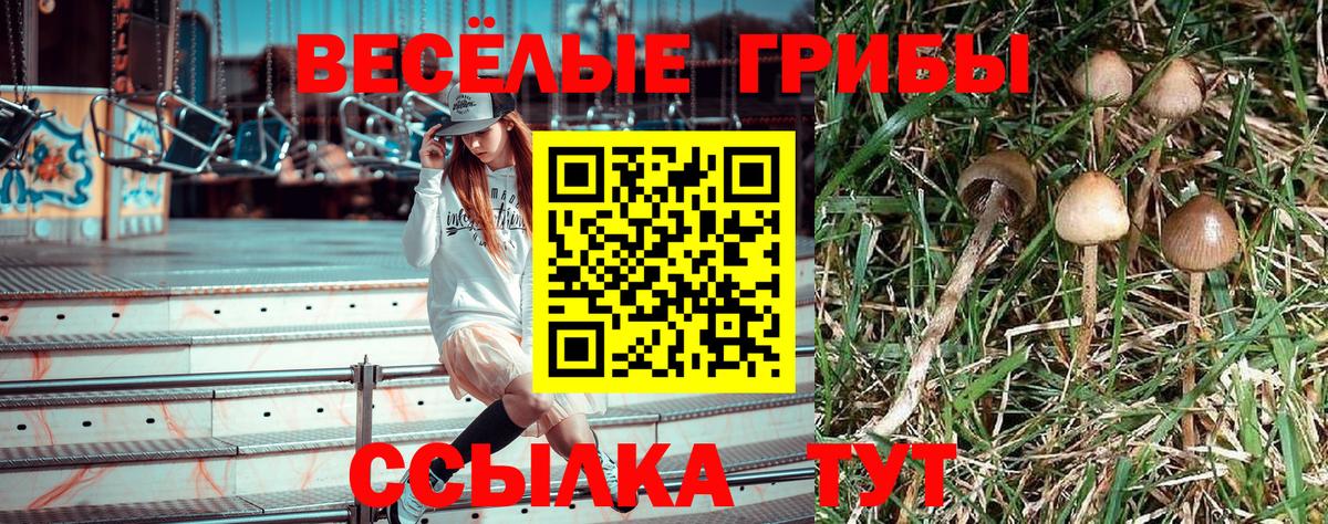 Галлюциногенные грибы ЛСД Тольятти